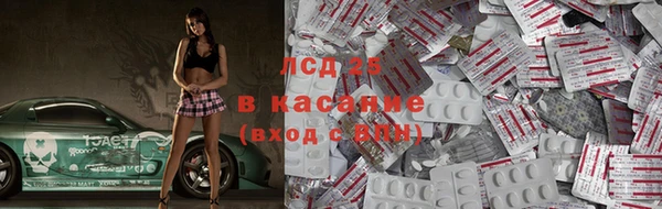 бошки Аркадак