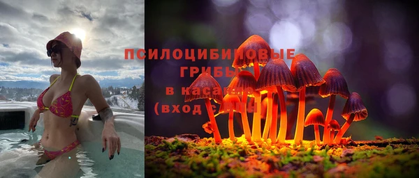 2c-b Армянск